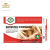 Ginseng Coreano 2000mg + Vitamina B2 40 Comprimidos